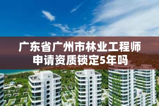 广东省广州市林业工程师申请资质锁定5年吗