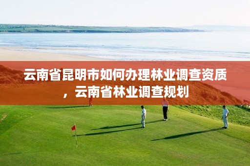 云南省昆明市如何办理林业调查资质,云南省林业调查规划