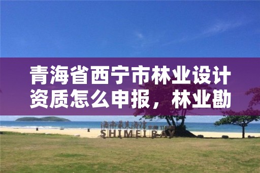 青海省西宁市林业设计资质怎么申报，林业勘察设计资质