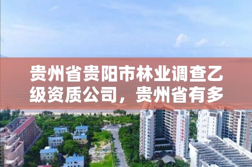 贵州省贵阳市林业调查乙级资质公司，贵州省有多少家林业调查公司