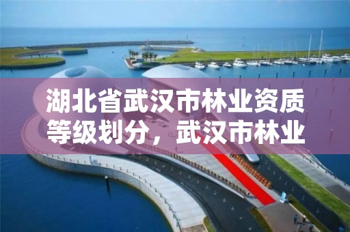 湖北省武汉市林业资质等级划分,武汉市林业集团有限公司