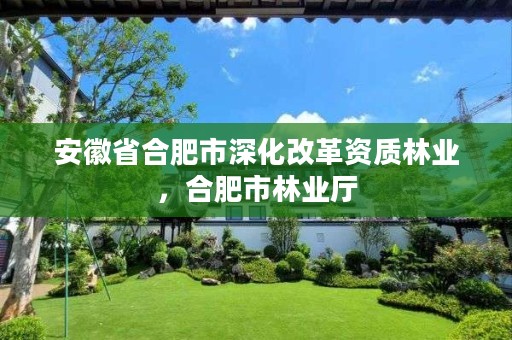 安徽省合肥市深化改革资质林业,合肥市林业厅
