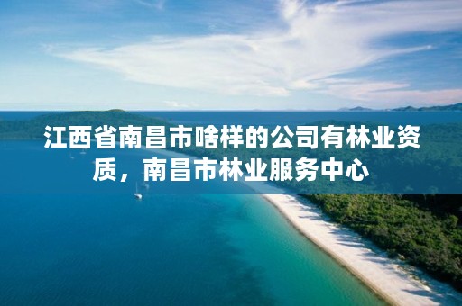 江西省南昌市啥样的公司有林业资质,南昌市林业服务中心
