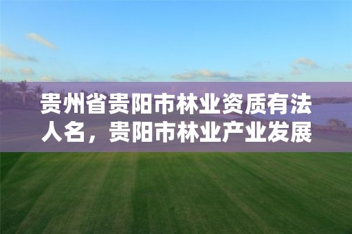 贵州省贵阳市林业资质有法人名,贵阳市林业产业发展中心