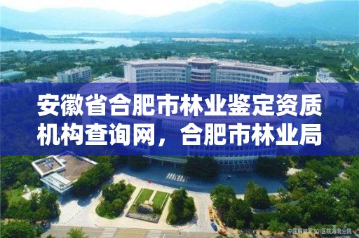 安徽省合肥市林业鉴定资质机构查询网,合肥市林业局电话号码是多少