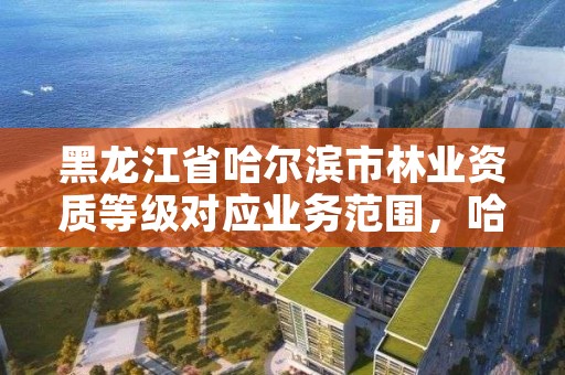 黑龙江省哈尔滨市林业资质等级对应业务范围,哈尔滨有几个林业局