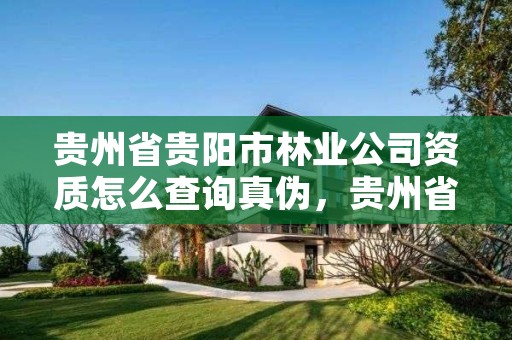 贵州省贵阳市林业公司资质怎么查询真伪，贵州省林业投资公司