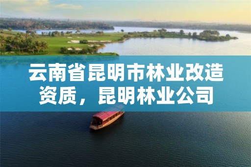 云南省昆明市林业改造资质,昆明林业公司