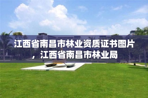 江西省南昌市林业资质证书图片,江西省南昌市林业局