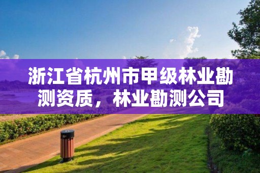浙江省杭州市甲级林业勘测资质，林业勘测公司