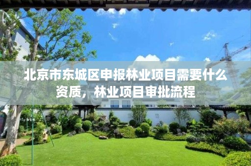 北京市东城区申报林业项目需要什么资质，林业项目审批流程