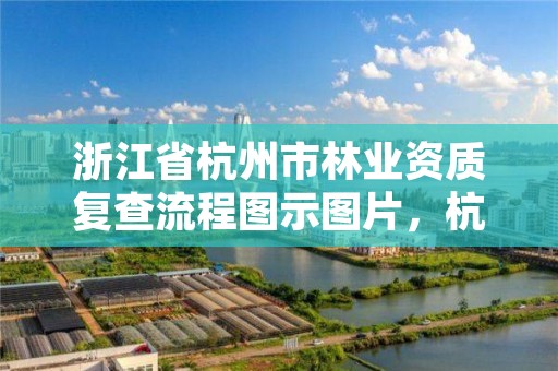 浙江省杭州市林业资质复查流程图示图片，杭州市林业厅