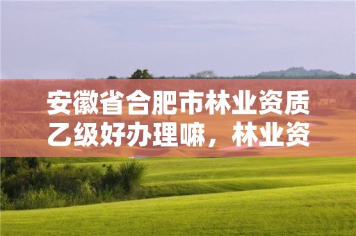 安徽省合肥市林业资质乙级好办理嘛,林业资质等级