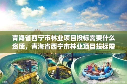 青海省西宁市林业项目投标需要什么资质,青海省西宁市林业项目投标需要什么资质