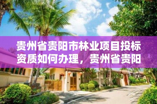 贵州省贵阳市林业项目投标资质如何办理，贵州省贵阳市林业项目投标资质如何办理的
