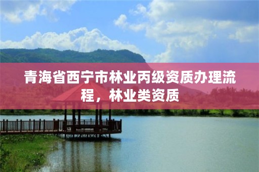 青海省西宁市林业丙级资质办理流程，林业类资质