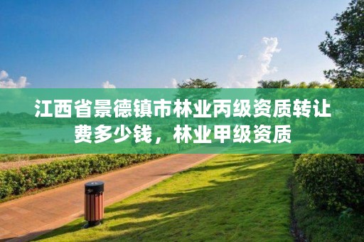 江西省景德镇市林业丙级资质转让费多少钱,林业甲级资质