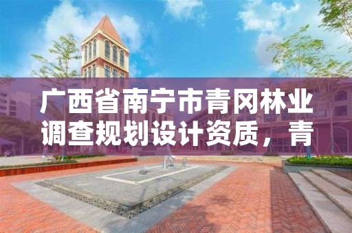 广西省南宁市青冈林业调查规划设计资质,青冈县林业局电话
