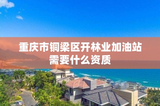 重庆市铜梁区开林业加油站需要什么资质