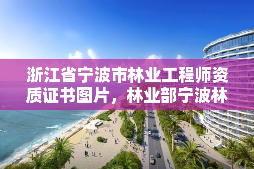 浙江省宁波市林业工程师资质证书图片，林业部宁波林业学校