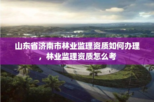 山东省济南市林业监理资质如何办理,林业监理资质怎么考
