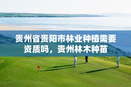 贵州省贵阳市林业种植需要资质吗,贵州林木种苗