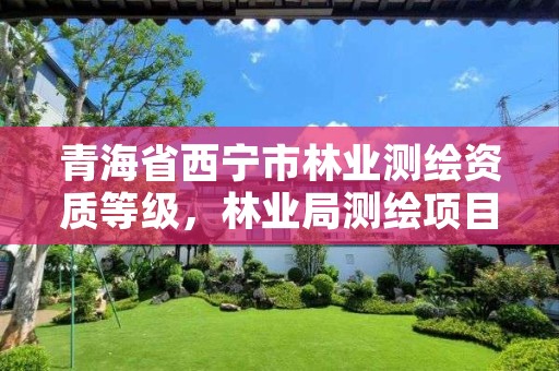 青海省西宁市林业测绘资质等级，林业局测绘项目