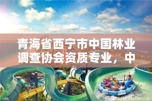 青海省西宁市中国林业调查协会资质专业，中国林业调查规程