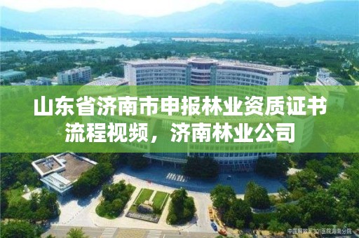 山东省济南市申报林业资质证书流程视频,济南林业公司