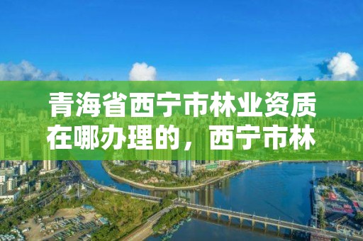 青海省西宁市林业资质在哪办理的，西宁市林业管理条例