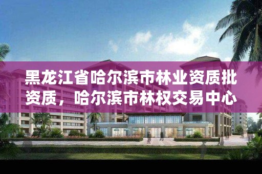 黑龙江省哈尔滨市林业资质批资质,哈尔滨市林权交易中心