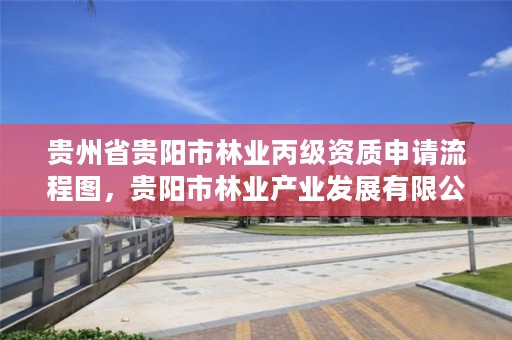 贵州省贵阳市林业丙级资质申请流程图，贵阳市林业产业发展有限公司