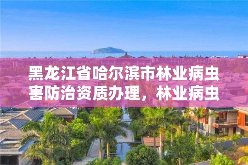 黑龙江省哈尔滨市林业病虫害防治资质办理,林业病虫害防治资质审批权限