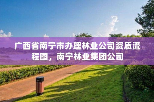 广西省南宁市办理林业公司资质流程图,南宁林业集团公司