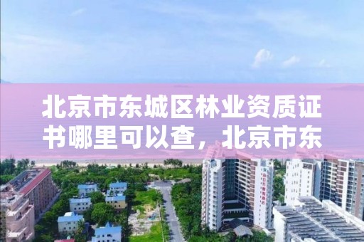 北京市东城区林业资质证书哪里可以查，北京市东城区林业资质证书哪里可以查询到