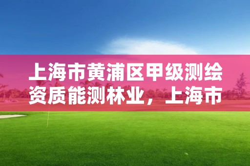 上海市黄浦区甲级测绘资质能测林业,上海市测绘资质单位名单