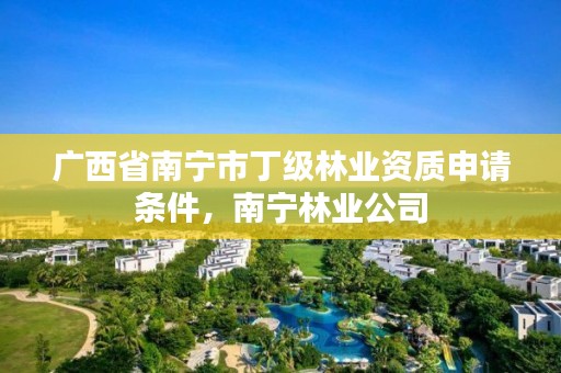 广西省南宁市丁级林业资质申请条件,南宁林业公司