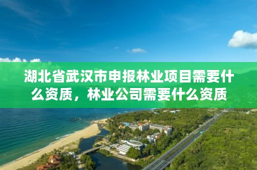 湖北省武汉市申报林业项目需要什么资质,林业公司需要什么资质
