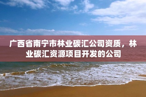 广西省南宁市林业碳汇公司资质,林业碳汇资源项目开发的公司
