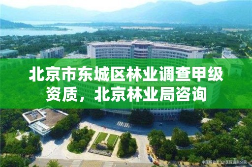 北京市东城区林业调查甲级资质,北京林业局咨询