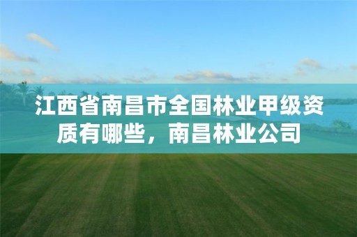 江西省南昌市全国林业甲级资质有哪些,南昌林业公司