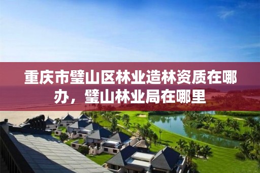 重庆市璧山区林业造林资质在哪办,璧山林业局在哪里