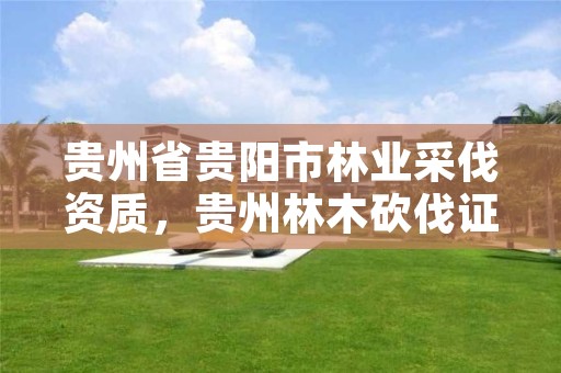 贵州省贵阳市林业采伐资质，贵州林木砍伐证