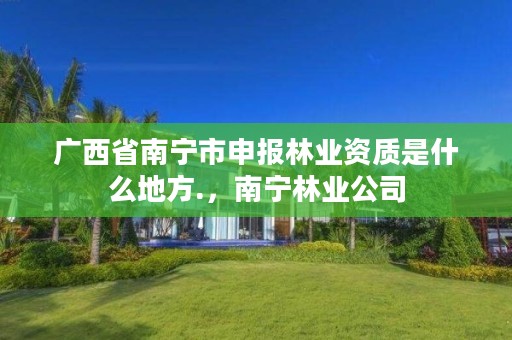 广西省南宁市申报林业资质是什么地方.,南宁林业公司