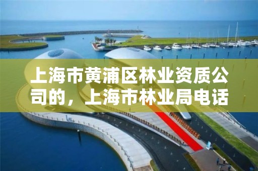 上海市黄浦区林业资质公司的,上海市林业局电话号码