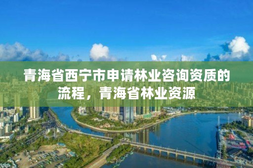 青海省西宁市申请林业咨询资质的流程，青海省林业资源