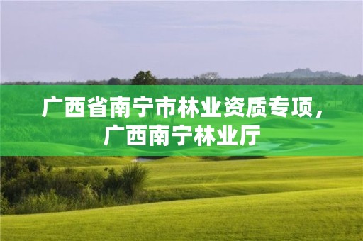 广西省南宁市林业资质专项,广西南宁林业厅