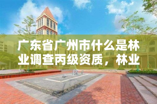 广东省广州市什么是林业调查丙级资质，林业调查资质查询