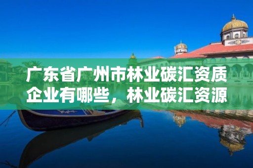 广东省广州市林业碳汇资质企业有哪些，林业碳汇资源项目开发的公司