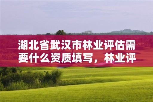 湖北省武汉市林业评估需要什么资质填写,林业评估需要用什么资质